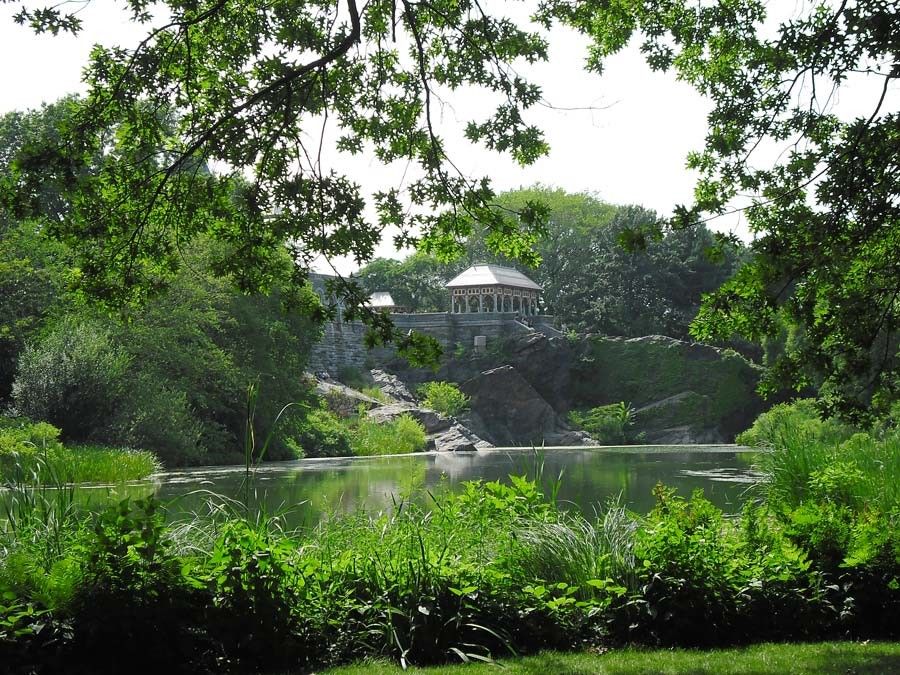 New York City Central Park