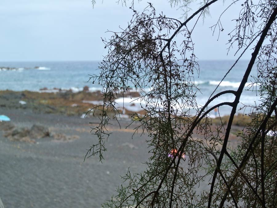 Puerto de la Cruz Tipps - Playa Jardin