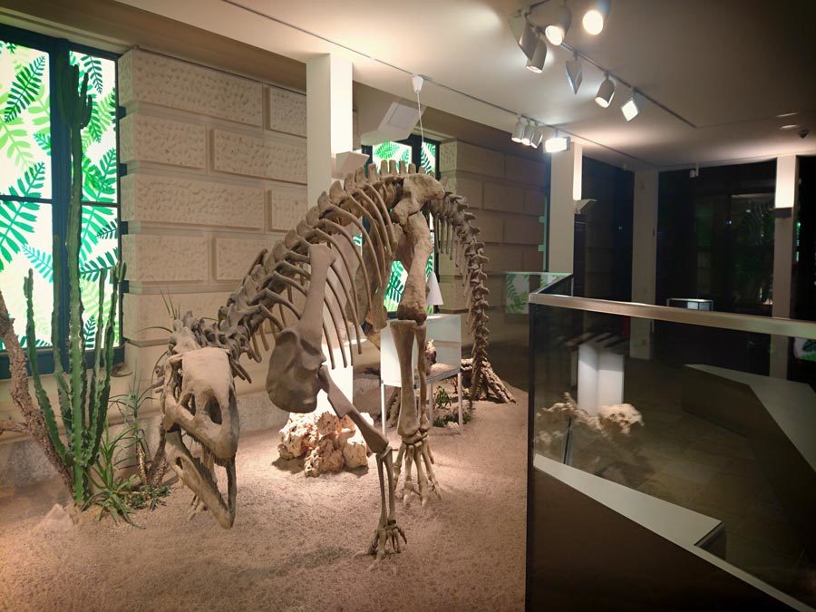 Landesmuseum Hannover - Plateosaurus