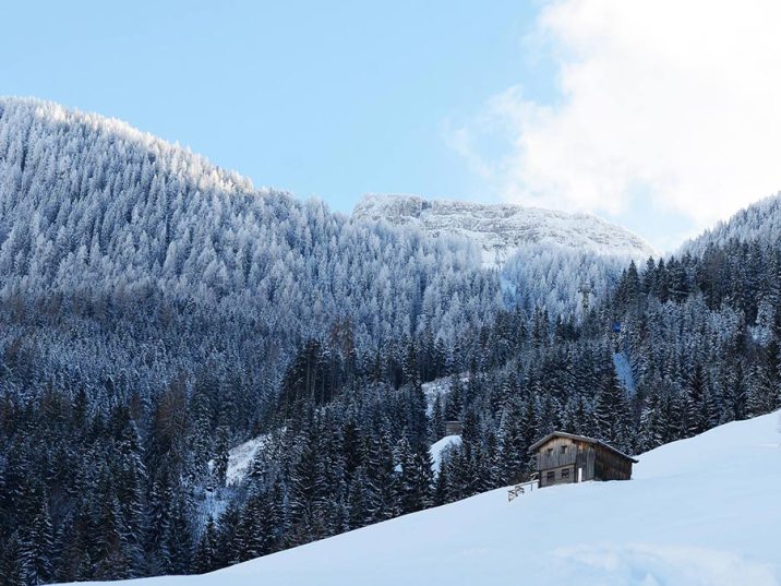 Winterurlaub-Osterreich-Almhuette