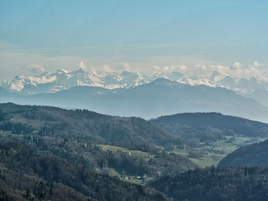 Zürich Reisetipps - Umland mit Alpen im Hintergrund