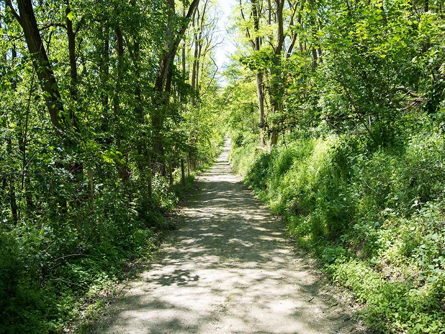 Mosel Kurzurlaub: Wandern nach Bernkastel