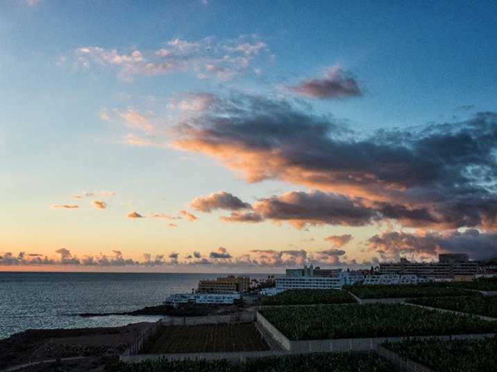 Teneriffa Urlaub - Sonnenuntergang Bananenplantage