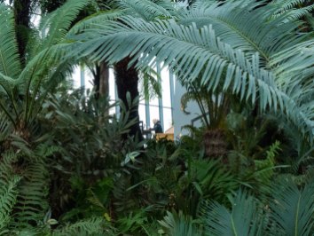 Sky Garden Dschungel