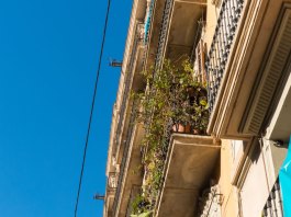 Barcelona gotisches Viertel Balkonpflanzen
