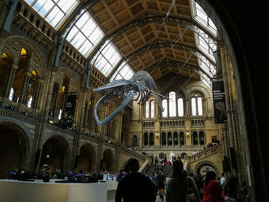 London Natural History Museum