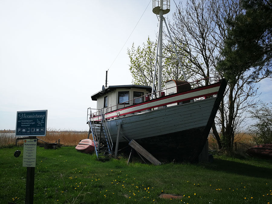 Inselsafari - Ferienhausboot am Achterwasser