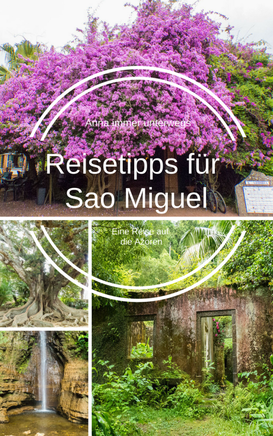 Azoren Sao Miguel Collage