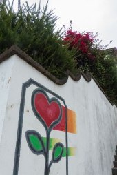 Street-art in in Ponta Delgada