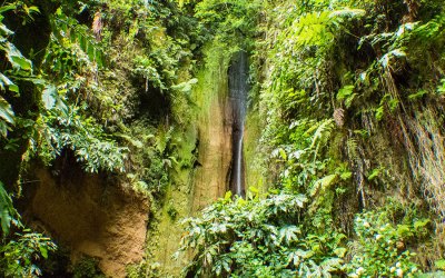8 Reisetipps für São Miguel (Azoren) [Werbung]