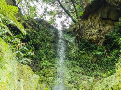 Sao Miguel Salto do rosal Tropfen