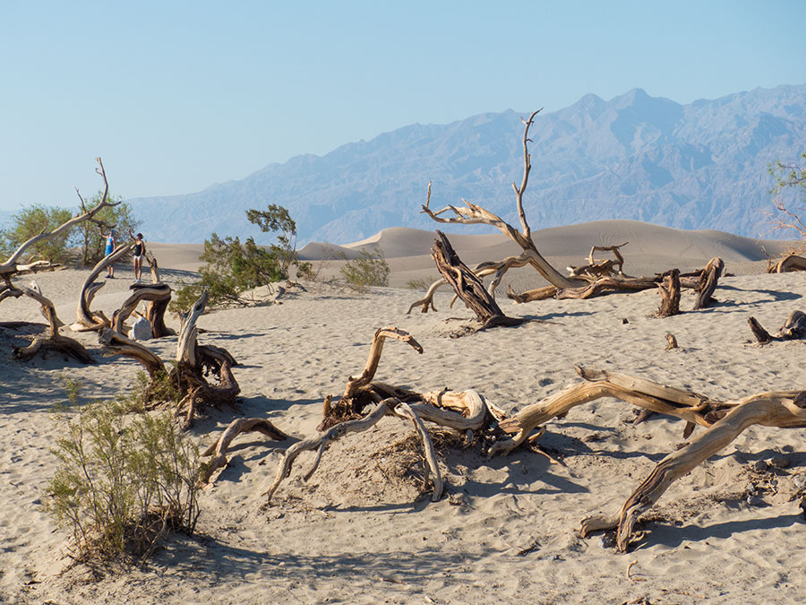 Fotoparade 2 2018 Mesquite Flats Sand Dunes