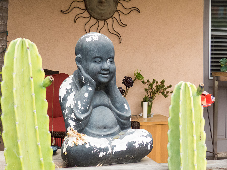 Venice Canals Garden Interior Buddha