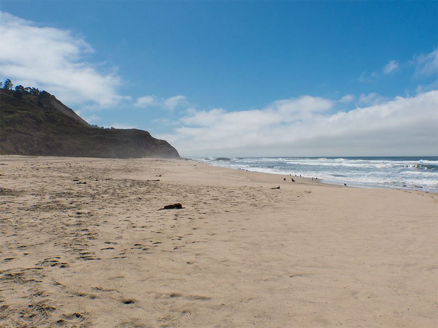Highway 1 Tunitas Creek Beach